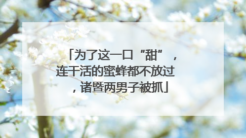 为了这一口“甜”，连干活的蜜蜂都不放过，诸暨两男子被抓