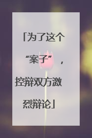 为了这个“案子”，控辩双方激烈辩论