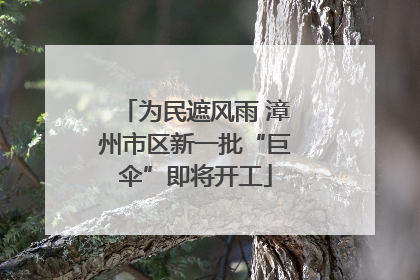 为民遮风雨 漳州市区新一批“巨伞”即将开工