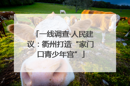 一线调查·人民建议：衢州打造“家门口青少年宫”