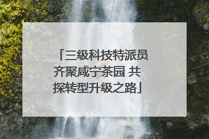三级科技特派员齐聚咸宁茶园 共探转型升级之路