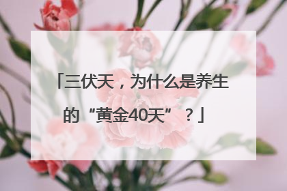 三伏天，为什么是养生的“黄金40天”？