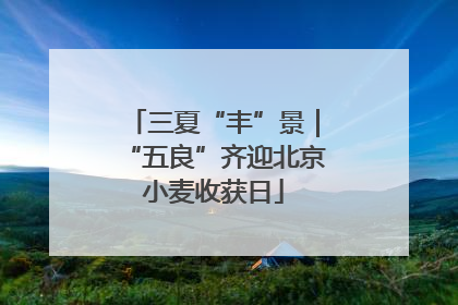 三夏“丰”景｜“五良”齐迎北京小麦收获日
