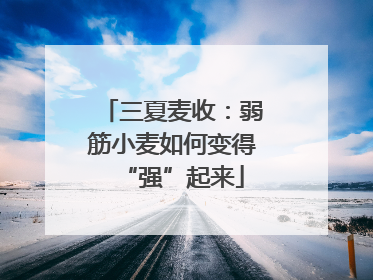 三夏麦收：弱筋小麦如何变得“强”起来
