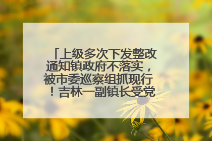 上级多次下发整改通知镇政府不落实，被市委巡察组抓现行！吉林一副镇长受党内警告处分