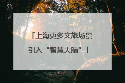 上海更多文旅场景引入“智慧大脑”