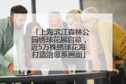 上海滨江森林公园绣球花展启幕，近5万株绣球花海打造治愈系画面