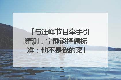 与汪峰节目牵手引猜测，宁静谈择偶标准：他不是我的菜