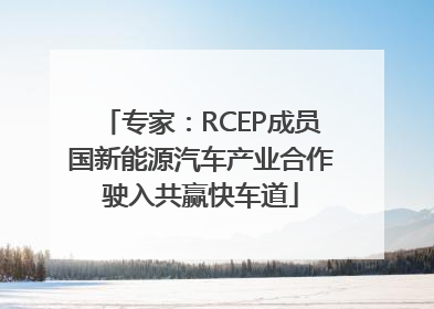 专家：RCEP成员国新能源汽车产业合作驶入共赢快车道
