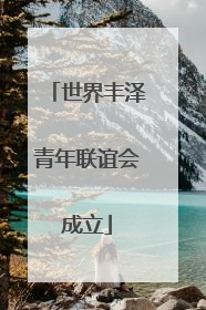 世界丰泽青年联谊会成立
