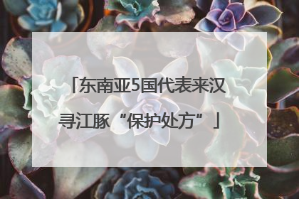 东南亚5国代表来汉寻江豚“保护处方”