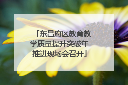 东昌府区教育教学质量提升突破年推进现场会召开