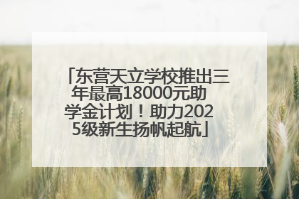 东营天立学校推出三年最高18000元助学金计划！助力2025级新生扬帆起航