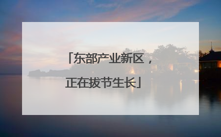 东部产业新区，正在拔节生长