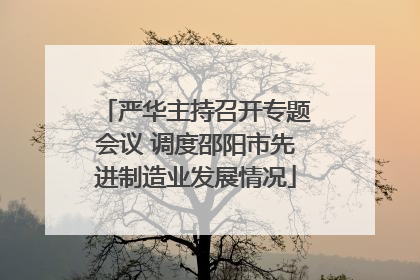 严华主持召开专题会议 调度邵阳市先进制造业发展情况