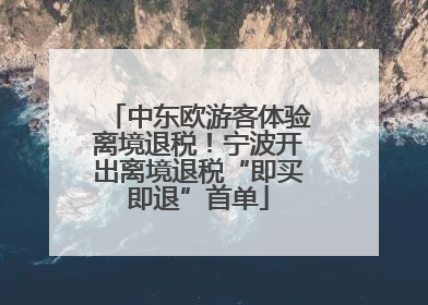 中东欧游客体验离境退税！宁波开出离境退税“即买即退”首单