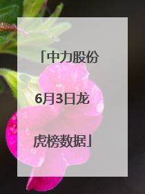 中力股份6月3日龙虎榜数据