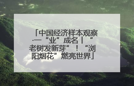 中国经济样本观察·一“业”成名丨“老树发新芽”！“浏阳烟花”燃亮世界