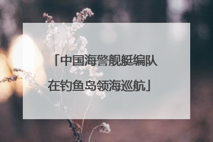 中国海警舰艇编队在钓鱼岛领海巡航
