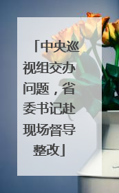 中央巡视组交办问题，省委书记赴现场督导整改