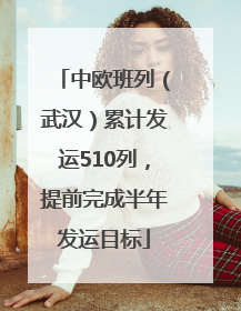 中欧班列（武汉）累计发运510列，提前完成半年发运目标