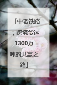 中老铁路，跨境货运1300万吨的共赢之路
