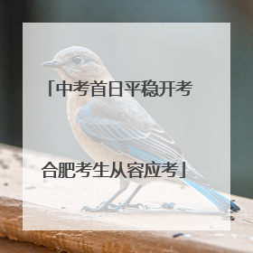 中考首日平稳开考 合肥考生从容应考