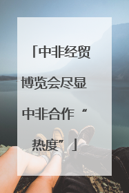 中非经贸博览会尽显中非合作“热度”