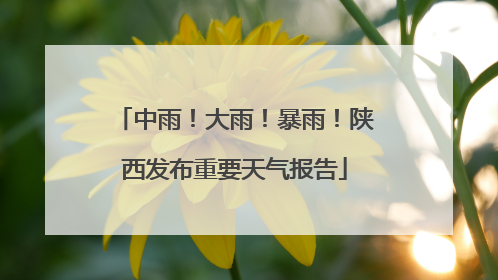 中雨！大雨！暴雨！陕西发布重要天气报告