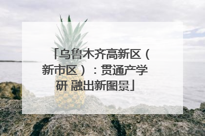 乌鲁木齐高新区（新市区）：贯通产学研 融出新图景