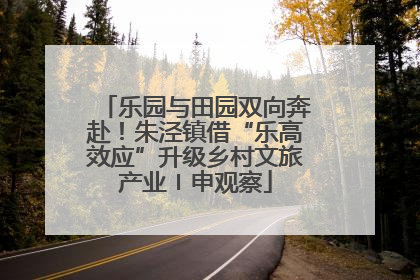 乐园与田园双向奔赴！朱泾镇借“乐高效应”升级乡村文旅产业〡申观察