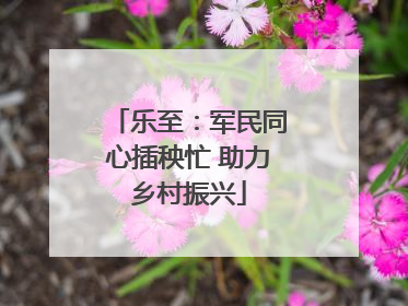乐至：军民同心插秧忙 助力乡村振兴