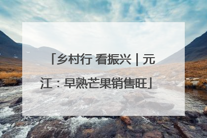 乡村行 看振兴｜元江：早熟芒果销售旺
