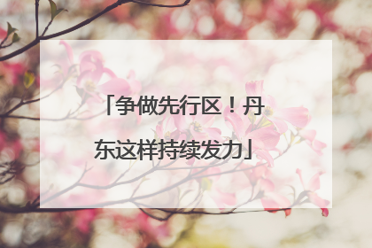 争做先行区！丹东这样持续发力