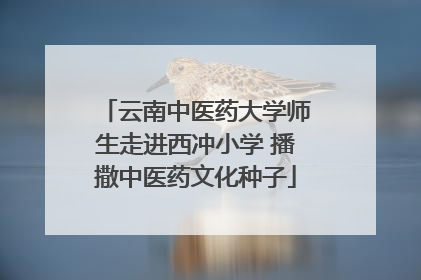 云南中医药大学师生走进西冲小学 播撒中医药文化种子