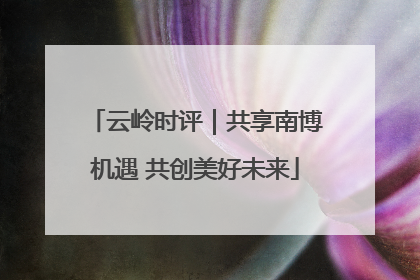 云岭时评｜共享南博机遇 共创美好未来
