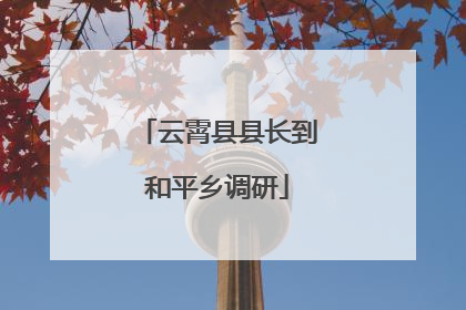 云霄县县长到和平乡调研