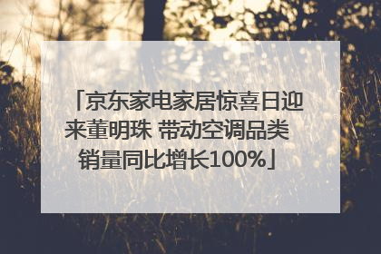 京东家电家居惊喜日迎来董明珠 带动空调品类销量同比增长100%
