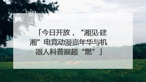 今日开放，“湘见·建湘”电竞动漫嘉年华与机器人科普展超“燃”