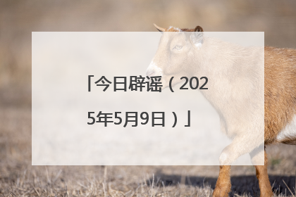 今日辟谣（2025年5月9日）