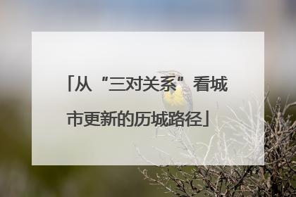 从“三对关系”看城市更新的历城路径