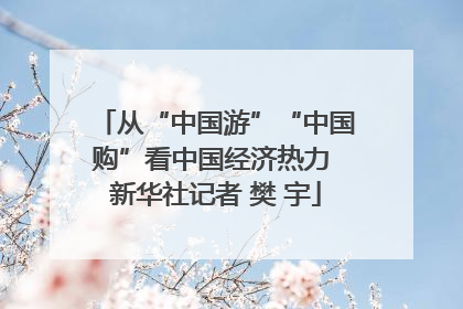 从“中国游”“中国购”看中国经济热力 新华社记者 樊 宇