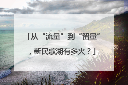从“流量”到“留量”，新民歌湖有多火？