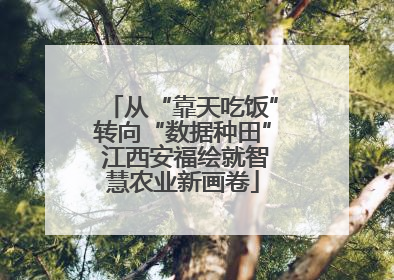 从“靠天吃饭”转向“数据种田” 江西安福绘就智慧农业新画卷