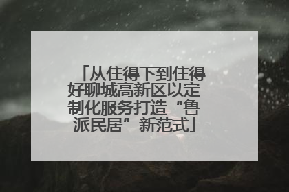 从住得下到住得好聊城高新区以定制化服务打造“鲁派民居”新范式