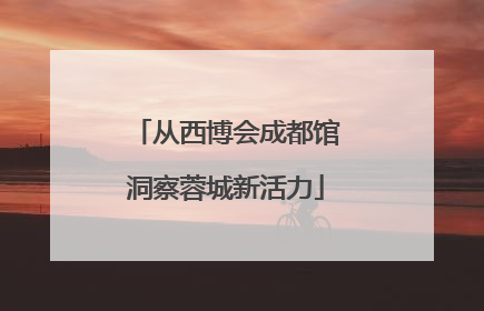 从西博会成都馆洞察蓉城新活力
