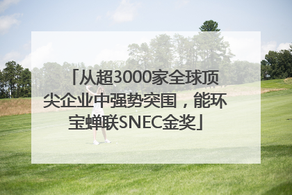 从超3000家全球顶尖企业中强势突围，能环宝蝉联SNEC金奖