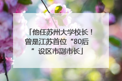 他任苏州大学校长！曾是江苏首位“80后”设区市副市长