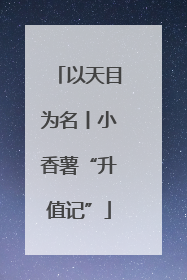 以天目为名丨小香薯“升值记”
