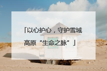 以心护心，守护雪域高原“生命之脉”